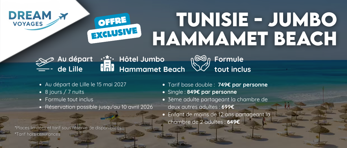 HAMMAMET 2027